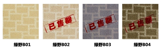 钻石地毯 新梦龙系列