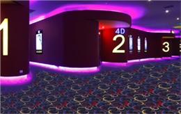 Y0030系列-电影院/办公室/会议室/走道尼龙印花地毯