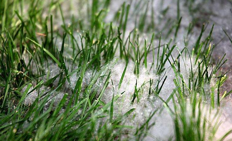 冬季将至，如何除去人造草皮中的冰雪？钻石地为您支招