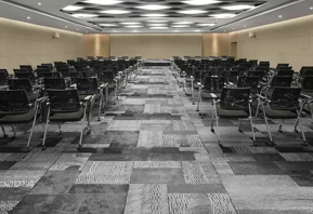 印花地毯-会议室地毯B066B