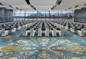 阿克明斯特地毯--大型会议室地毯TMGQ103