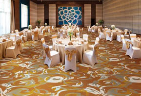阿克明斯特地毯--满铺酒店宴会厅地毯TMGQ177