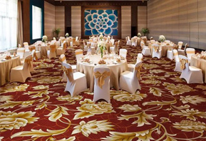 印花地毯-星级酒店宴会厅地毯B112B