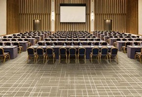 印花地毯-酒店会议室地毯B212B