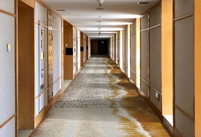 阿克明斯特地毯--酒店走道地毯TMZL010